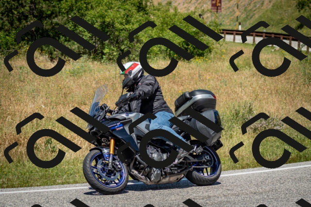 202506281255-DSC_2105_c2