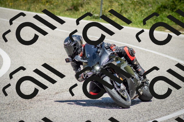 202506281256-DSC_2115_c2