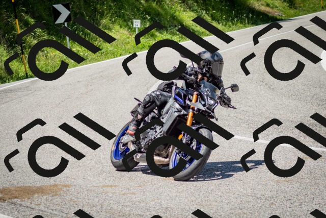 202506281257-DSC_2124_c2