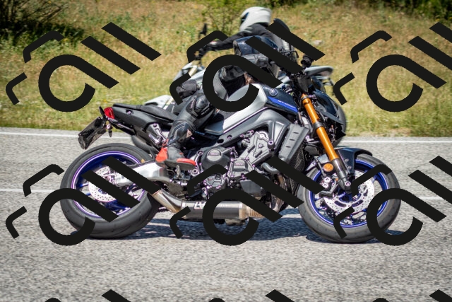 202506281257-DSC_2125_c2