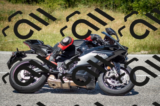 202506281257-DSC_2127_c2