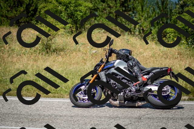 202506281257-DSC_2138_c2