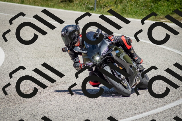 202506281257-DSC_2139_c2