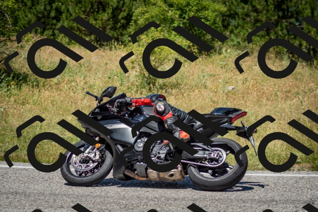 202506281257-DSC_2141_c2