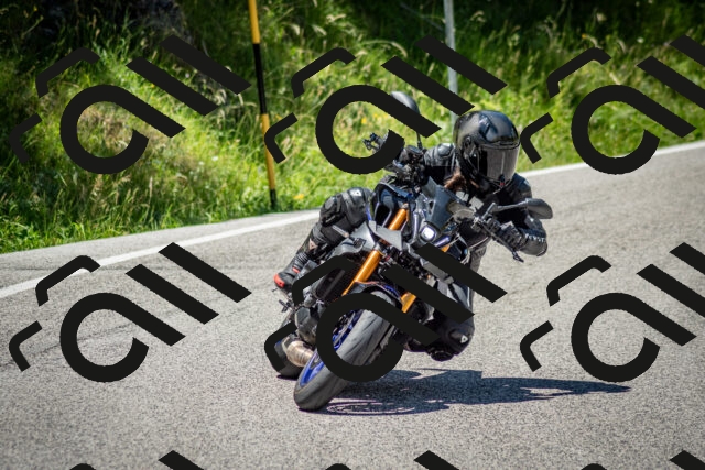 202506281258-DSC_2143_c2