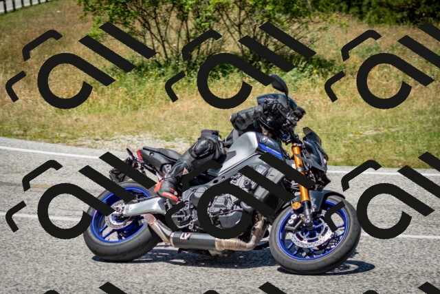 202506281258-DSC_2144_c2