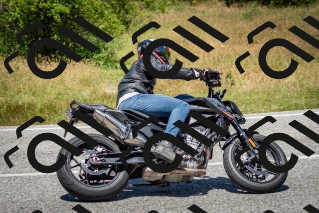 202506281300-DSC_2171_c2