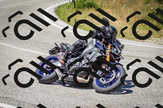 202506281300-DSC_2173_c2