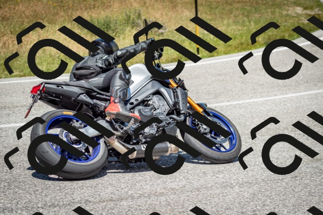 202506281300-DSC_2174_c2