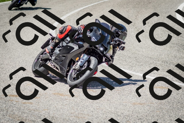 202506281300-DSC_2177_c2