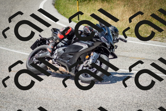 202506281300-DSC_2178_c2