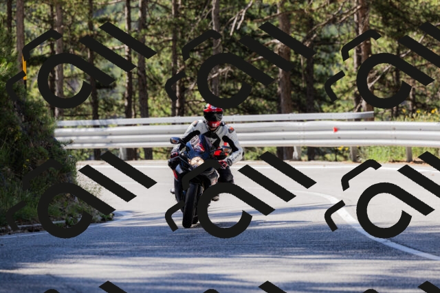 202506281018-_04A4200_c3_