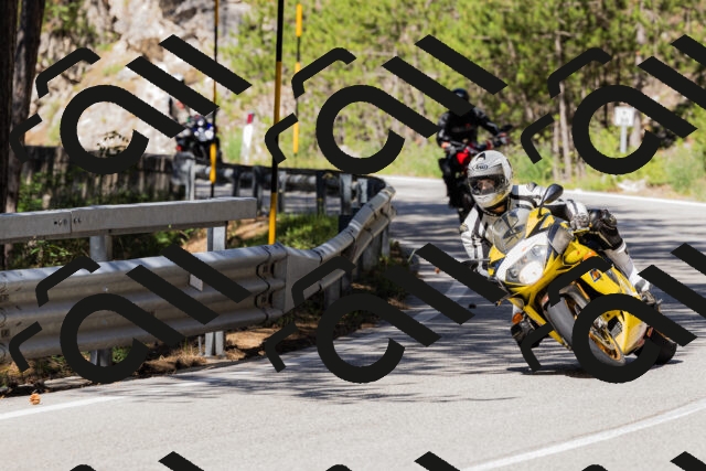 202506281022-_04A4210_c3_