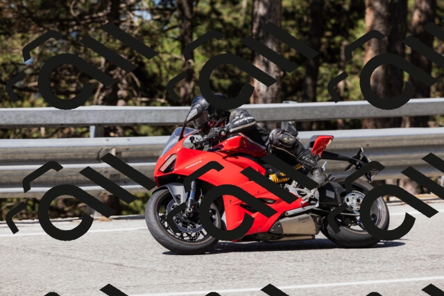 202506281022-_04A4216_c3_