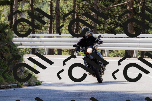 202506281025-_04A4220_c3_