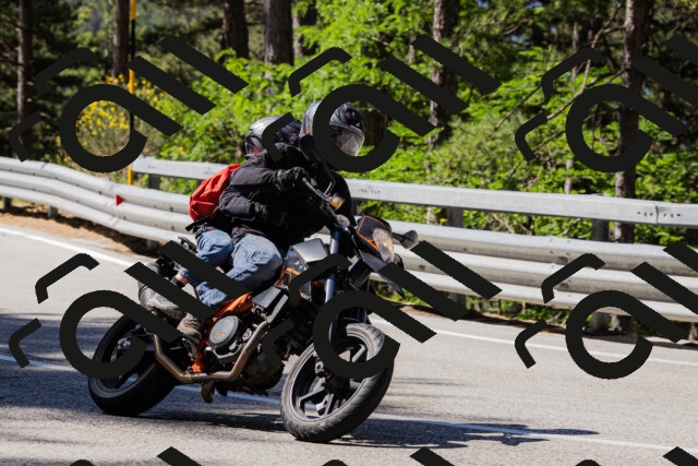 202506281025-_04A4221_c3_