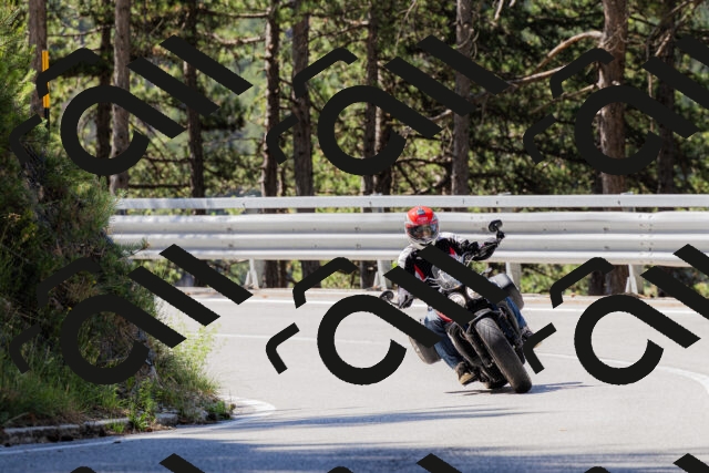 202506281030-_04A4224_c3_