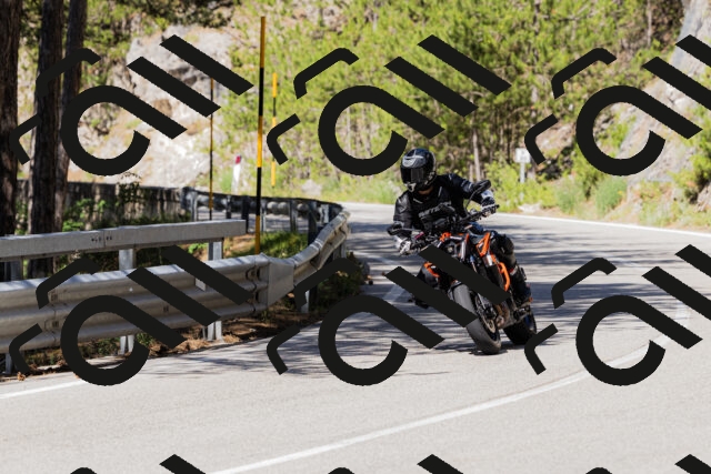 202506281030-_04A4230_c3_