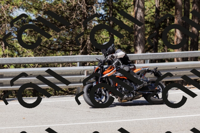 202506281030-_04A4231_c3_