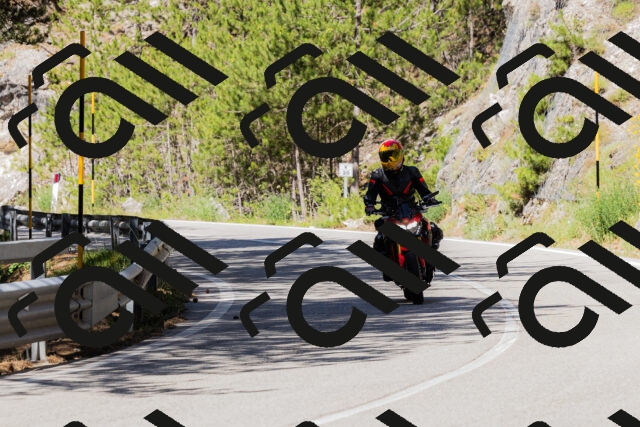 202506281030-_04A4233_c3_