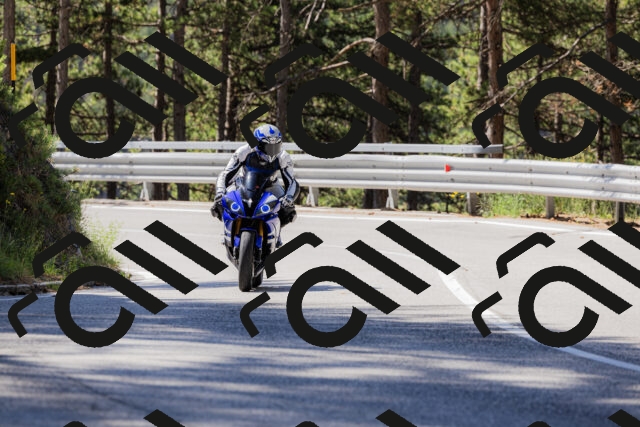 202506281031-_04A4236_c3_