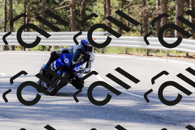 202506281031-_04A4237_c3_