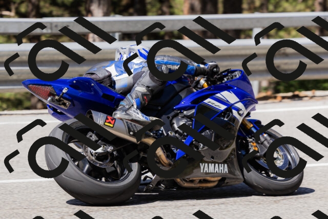 202506281031-_04A4241_c3_