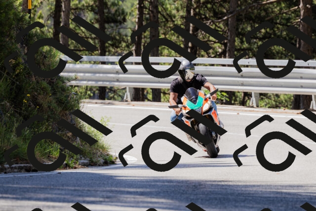 202506281031-_04A4242_c3_