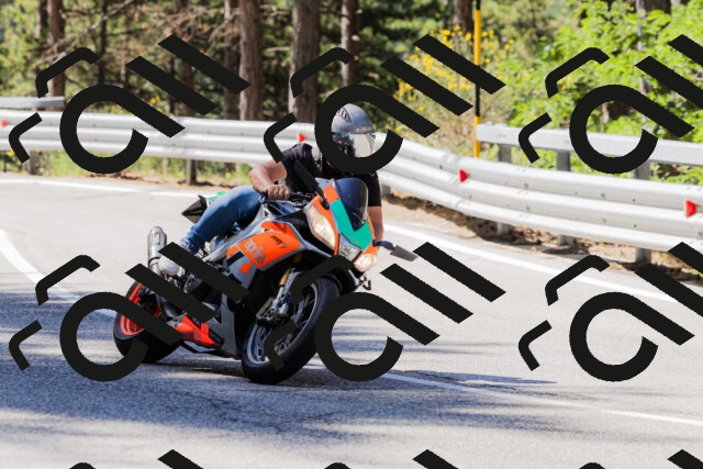 202506281031-_04A4244_c3_