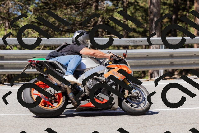 202506281031-_04A4247_c3_