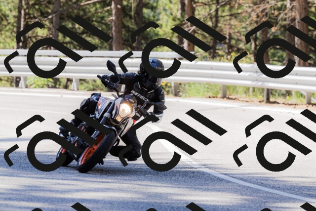 202506281031-_04A4248_c3_