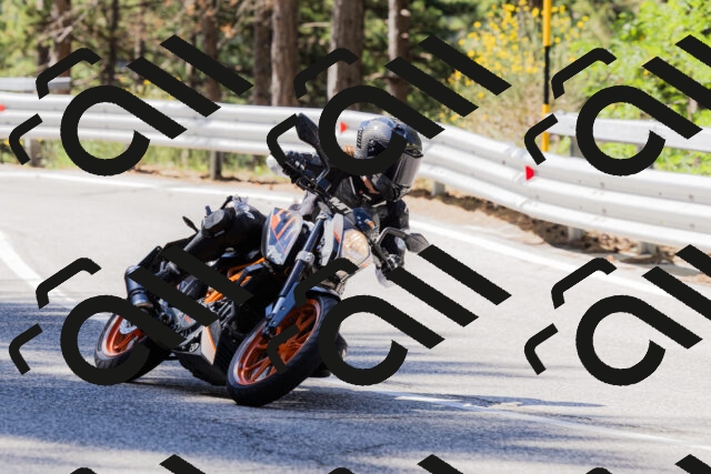 202506281031-_04A4249_c3_