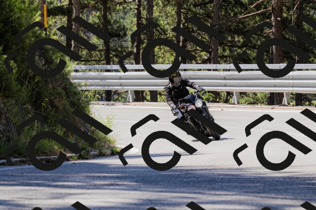 202506281034-_04A4257_c3_