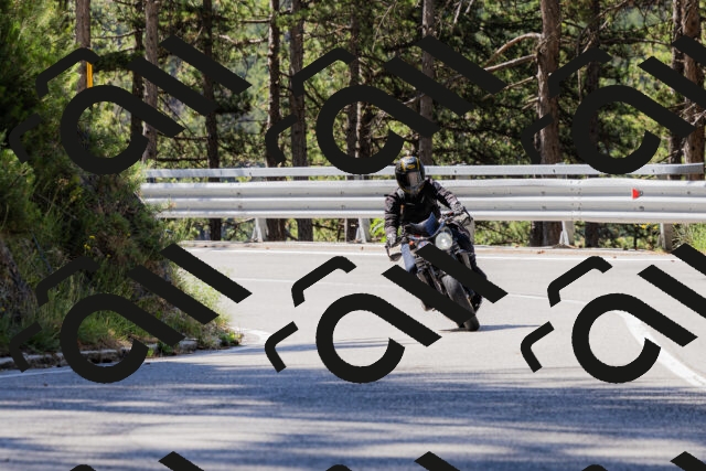 202506281034-_04A4258_c3_