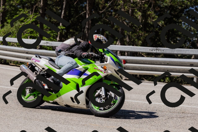 202506281035-_04A4264_c3_