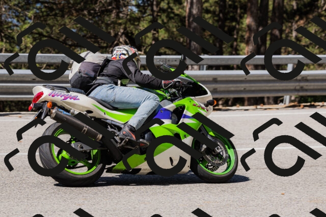 202506281035-_04A4266_c3_