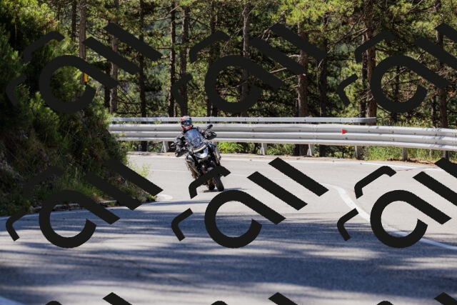 202506281035-_04A4267_c3_