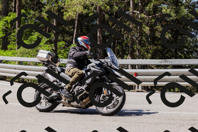 202506281035-_04A4269_c3_