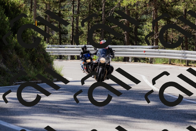 202506281035-_04A4276_c3_