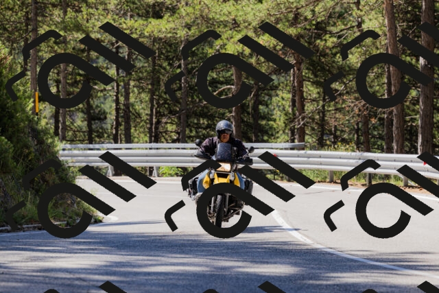 202506281035-_04A4289_c3_