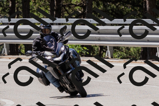 202506281036-_04A4294_c3_