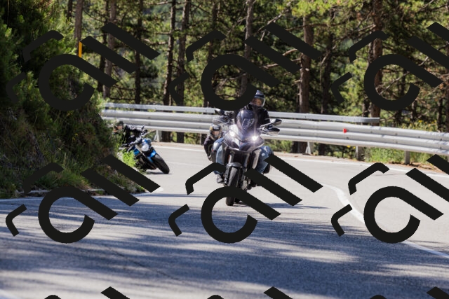 202506281036-_04A4295_c3_