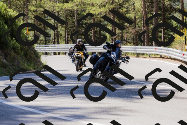 202506281036-_04A4296_c3_