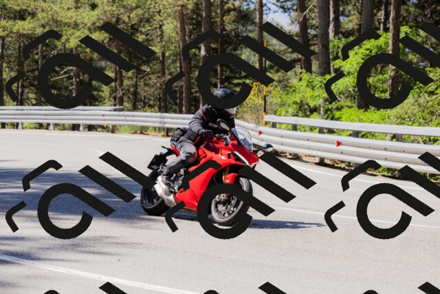 202506281037-_04A4303_c3_