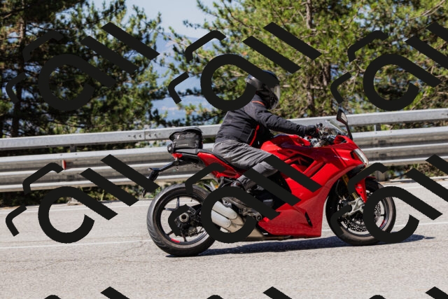 202506281037-_04A4305_c3_