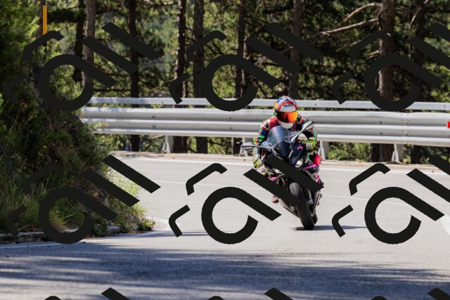 202506281038-_04A4307_c3_