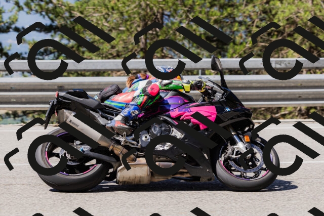 202506281039-_04A4311_c3_