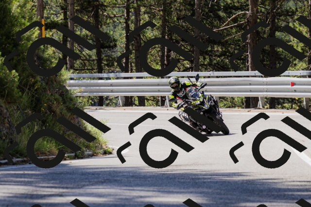 202506281043-_04A4313_c3_