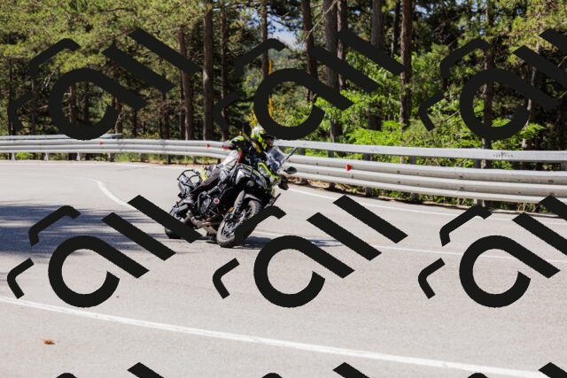 202506281043-_04A4317_c3_