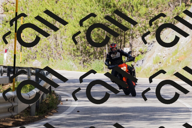 202506281045-_04A4324_c3_